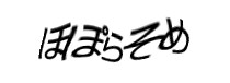 Authentication image