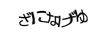 Authentication image