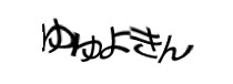Authentication image