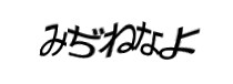 Authentication image